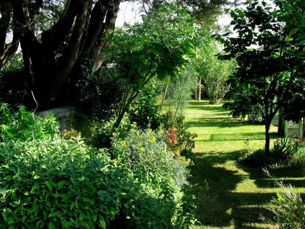 La Claverie Sainte-Radegonde-des-Noyers Экстерьер фото